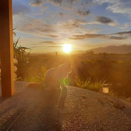 Brook House B&B & Cottages Kaikoura Eksteriør bilde