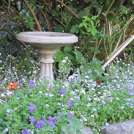 Brook House B&B & Cottages Kaikoura Eksteriør bilde
