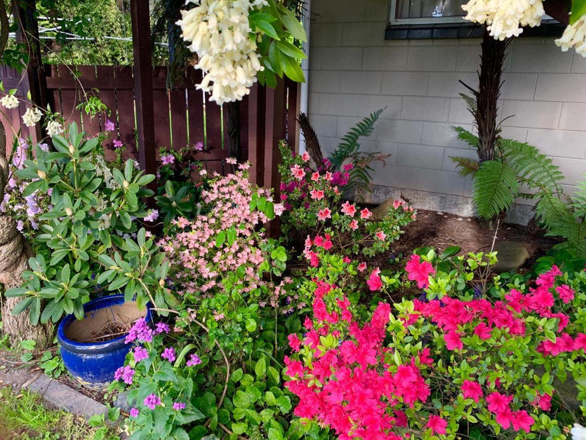 Brook House B&B & Cottages Kaikoura Eksteriør bilde