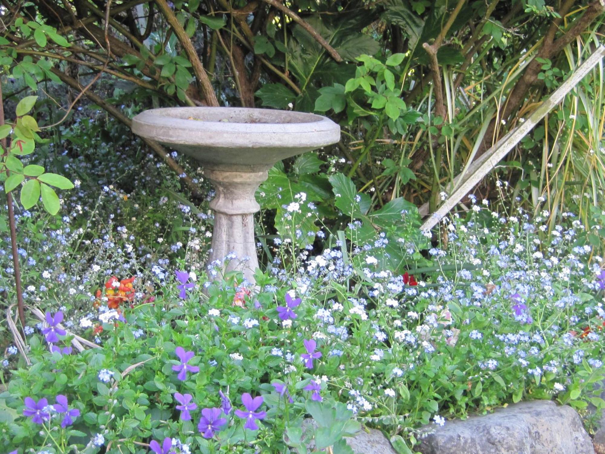 Brook House B&B & Cottages Kaikoura Eksteriør bilde