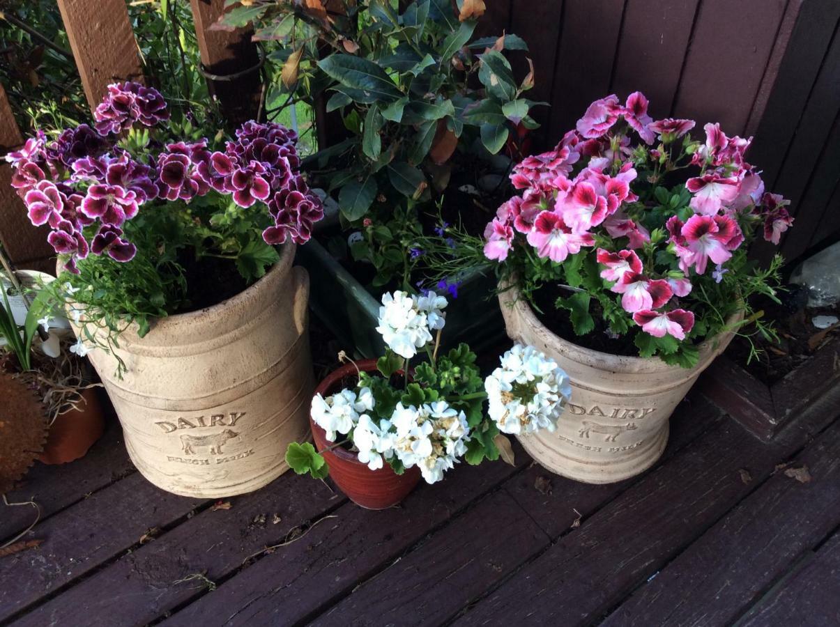 Brook House B&B & Cottages Kaikoura Eksteriør bilde